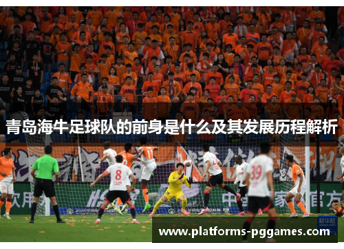 青岛海牛足球队的前身是什么及其发展历程解析 青岛海牛足球队的前身是什么及其发展历程解析