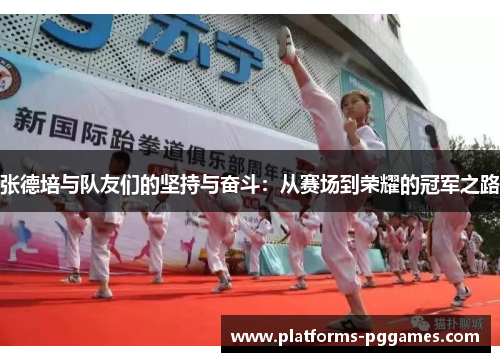 张德培与队友们的坚持与奋斗：从赛场到荣耀的冠军之路