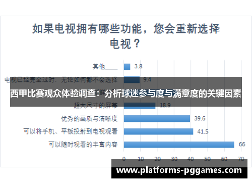 西甲比赛观众体验调查：分析球迷参与度与满意度的关键因素