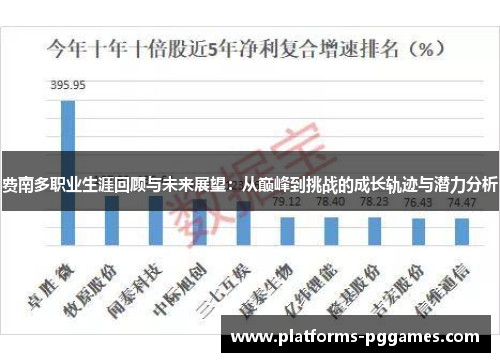 费南多职业生涯回顾与未来展望：从巅峰到挑战的成长轨迹与潜力分析